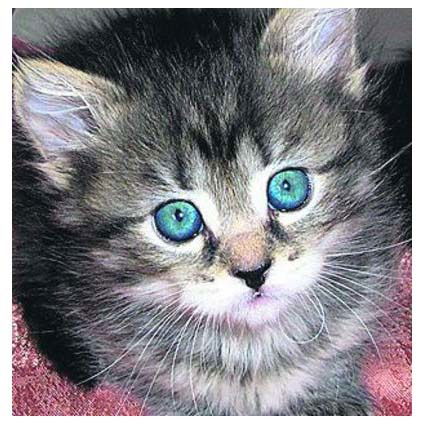 Нурия Гатитулина