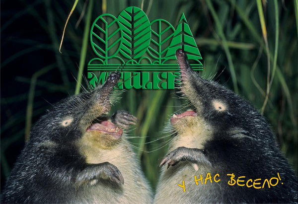 База Отдыха Мещера