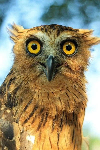 Ирина Миллер