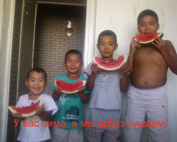 Токторбек Бердибаев