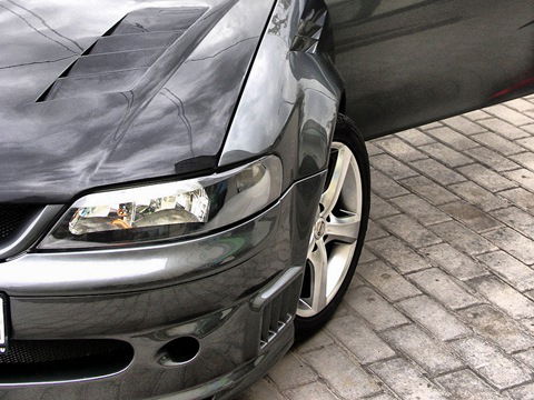 Александр Долгопалец