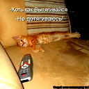Димон Хз))