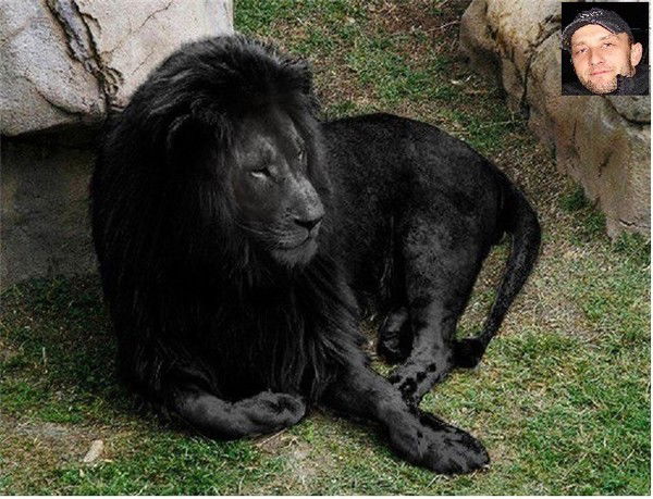 Александр ................