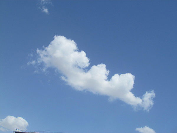 Кокеев Жандос