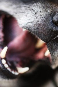 Не_Такая_Как_Все .....