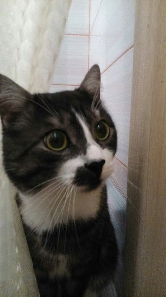 Валерий Кузьмин