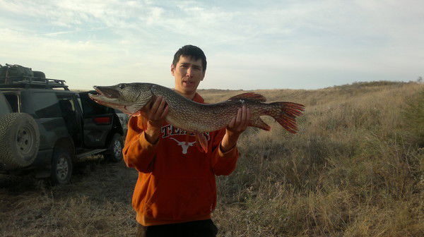 Ербол Бейсекеев