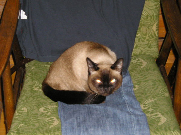 Марина Астанкова