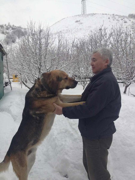 Валихан Дуйсемалиев