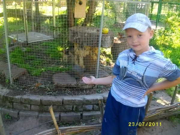 Артём Гарнов