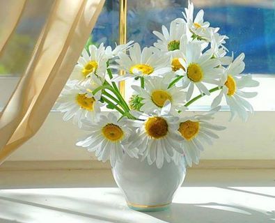 Елена Аксенова