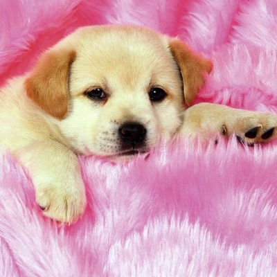 Юлия Зиновьева