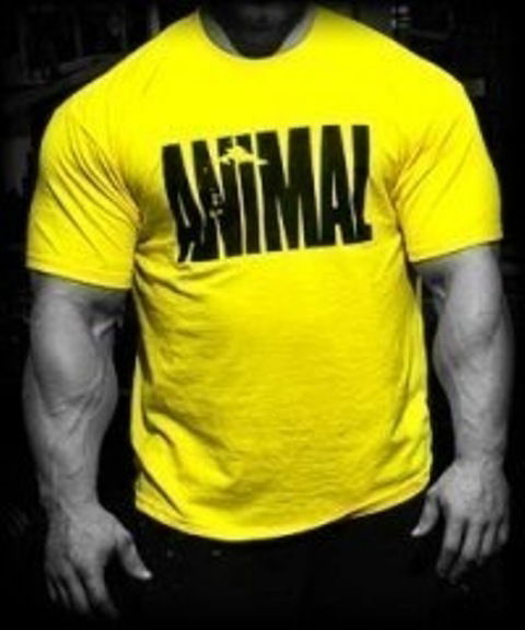 Олег Поддубцев