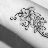 Анастасия Клименко