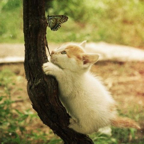 Алеся Гуздельская