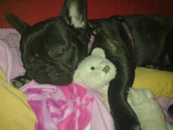 Лилия Цибизова