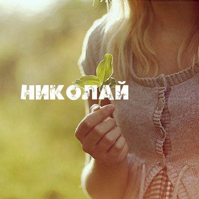 Николай Нероба