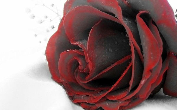 Арина Мазур