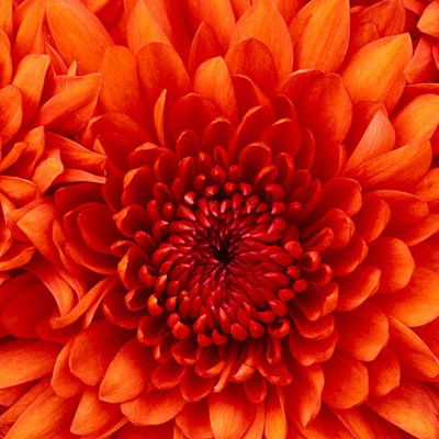 Валя Алексеева