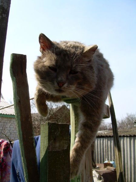 Михаил Хаюзко