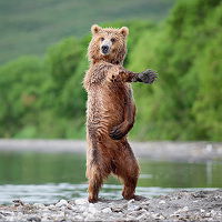 Алексей Абрамов