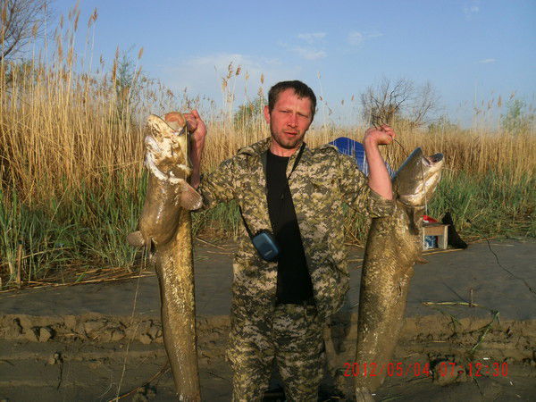 Олег Старостин