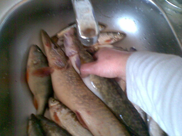 Воробьёв Евгений