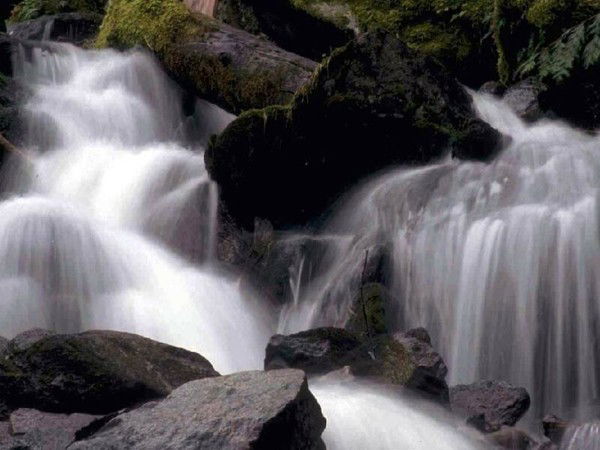 Жанара Шабданова