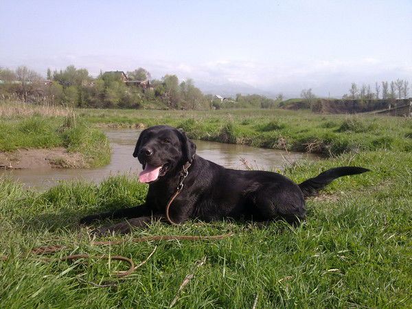 Михаил Пуянаускас