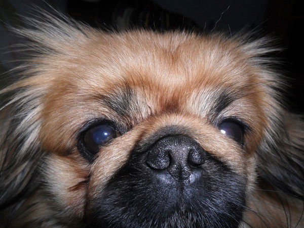 Алёна Чекмарёва