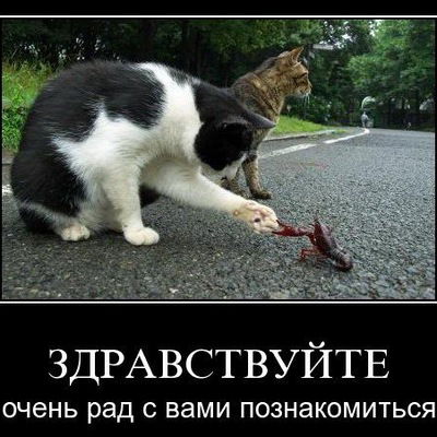 Анна Баскова