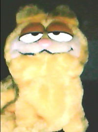 Николай Сергеев