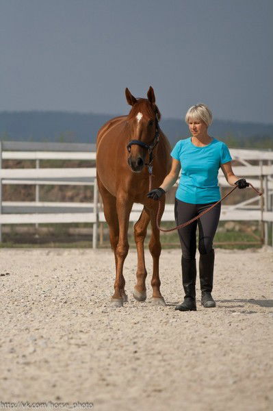 Эльвира Елькина