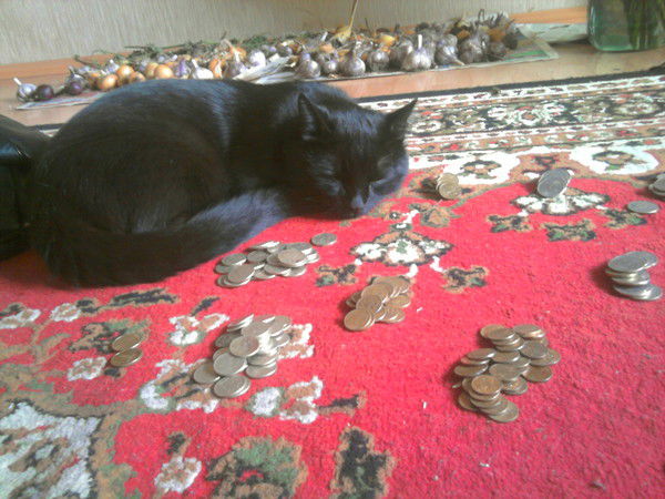 Александра Гареева