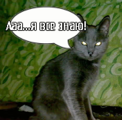 Елена Нилова