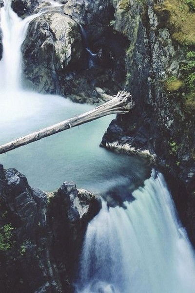 Даяна Досан