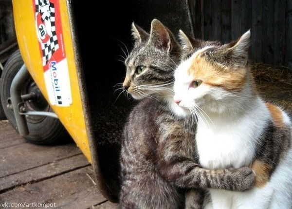 Ирина Клыкова