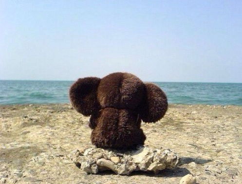 Нурлан Дабулов