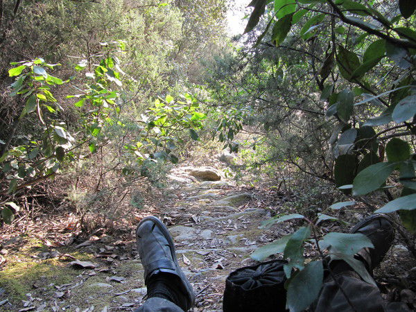 Петр Пахомов