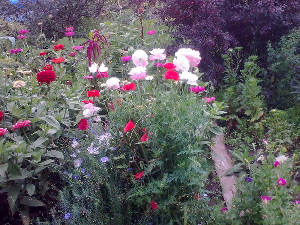 Наталья Репьева