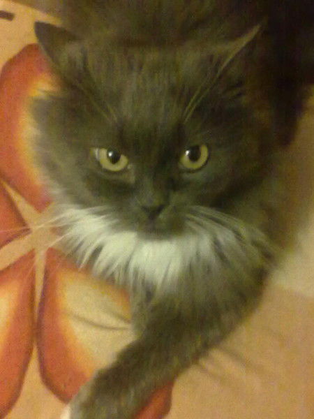 Наталья Кириллова