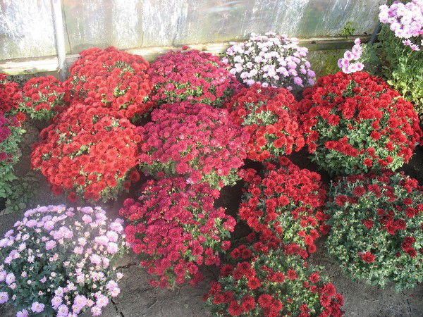 Славик Затварницкий