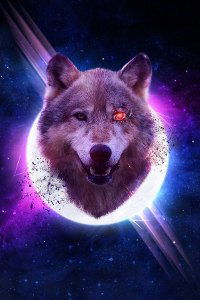 Айдана Шайбакова