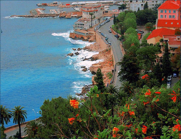 Дамир Испулов