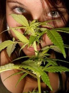 Витек Шибин