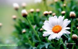 Ирина Божук