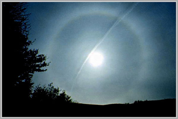 Максим Арно