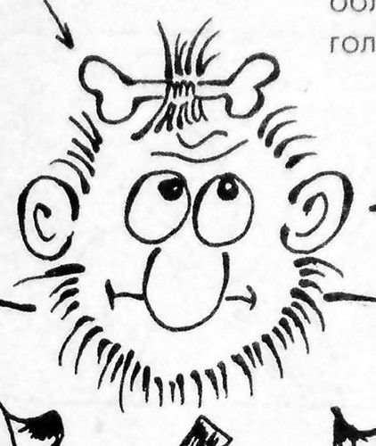 Олег Золотько