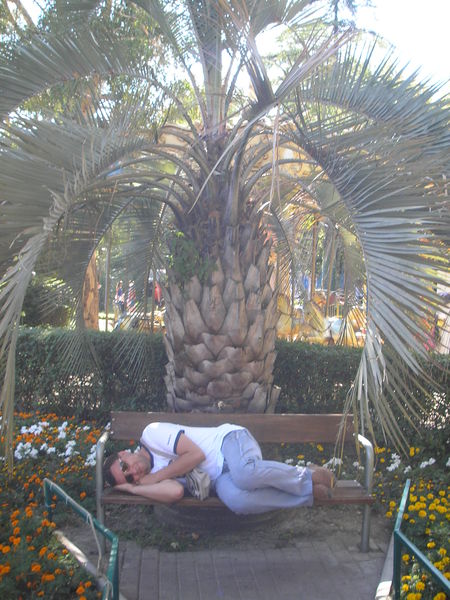 Юрий Майоров