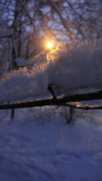 Наталья Лаврова